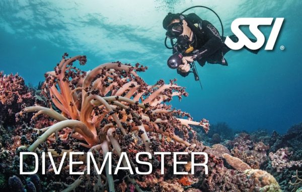 Dive Master Package